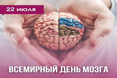 22 июля отмечается Всемирный день мозга.