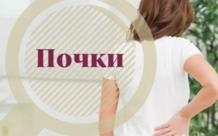 Почки. Когда и как проверить
